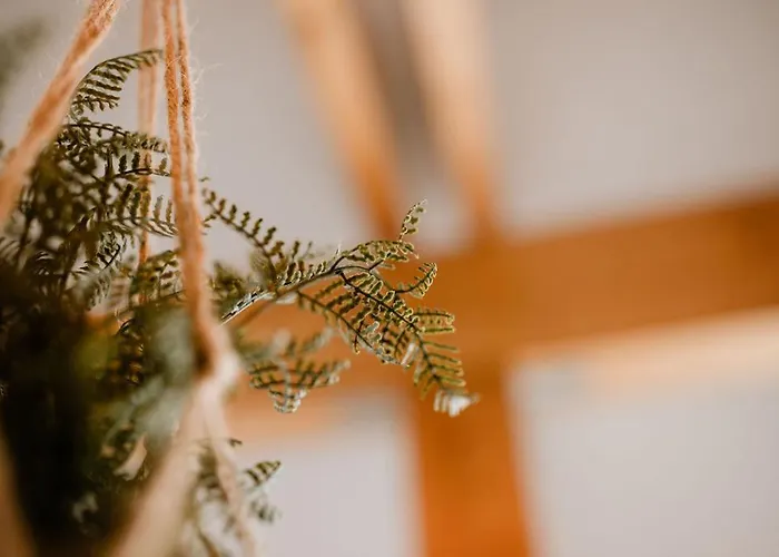 アパート Kaiserblick ヴェルニゲローデ