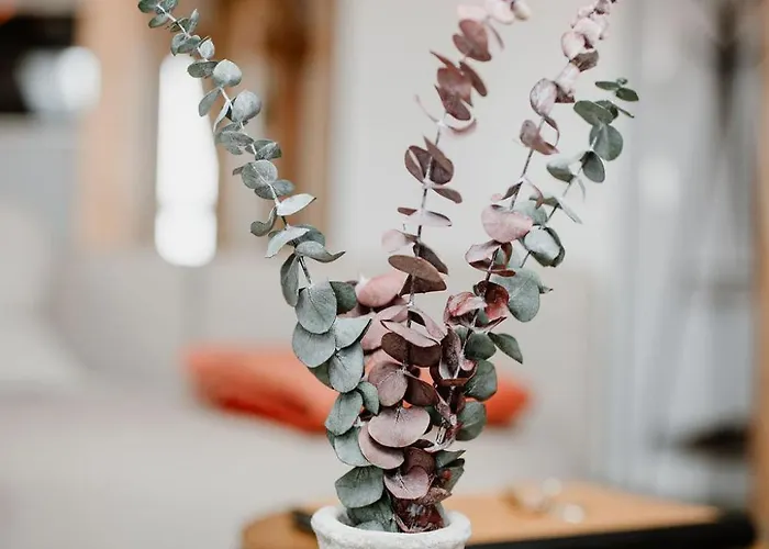 Apartment Kaiserblick *